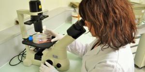 Startup : Neolys Diagnostics s'appuie sur les mathématiques pures