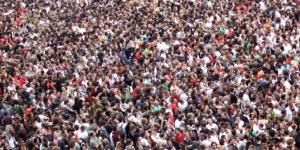 Sagesse des foules : des chercheurs l'améliorent de plus de 20%
