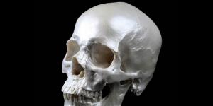Des scientifiques prouvent qu'il est mathématiquement impossible de combattre la vieillesse