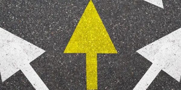 Quelles sont les spécialités les plus choisies au lycée en 2025 ?