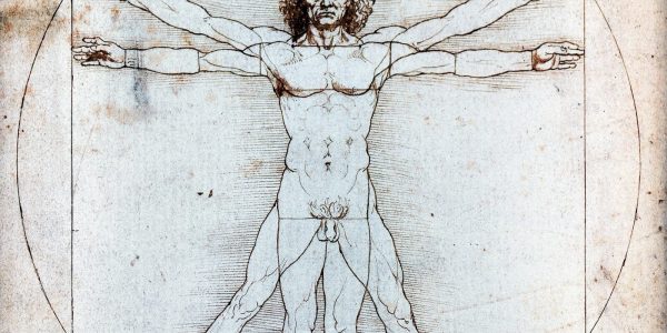Ce chercheur pense avoir résolu un mystère ancien de 500 ans dans ce dessin de Léonard de Vinci