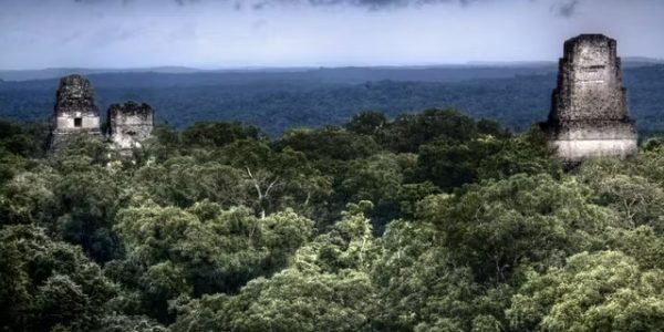 Un "géant" maya des mathématiques et de l'astronomie identifié pour la première fois